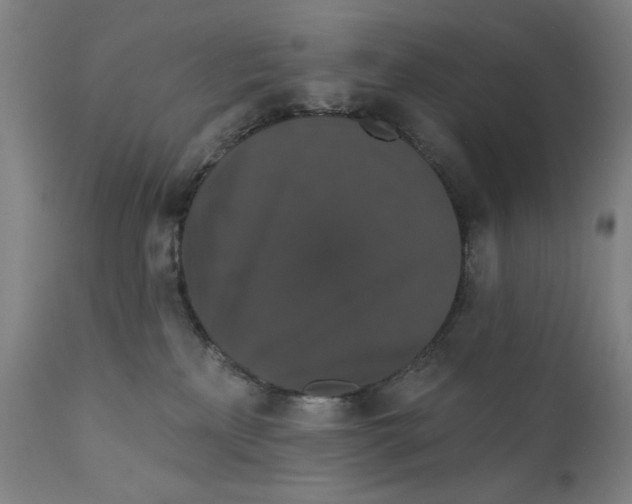 X0000111520233200908111210