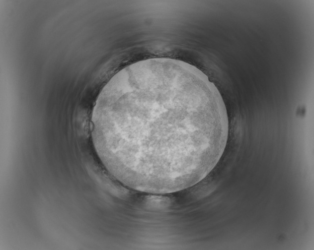 X0000111520234200908111210