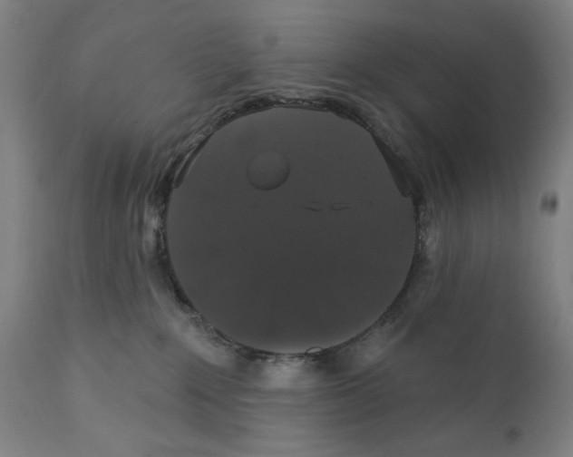 X0000111520235200908111210