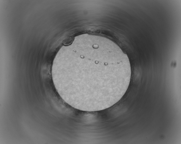 X0000111520236200908111210