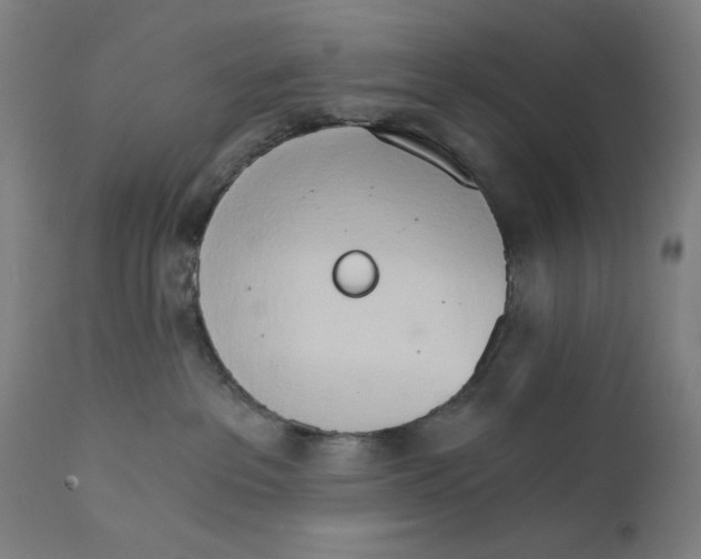X0000111520237200908111210