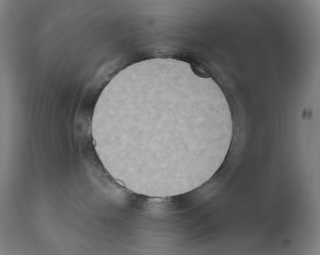 X0000111520240200908111210