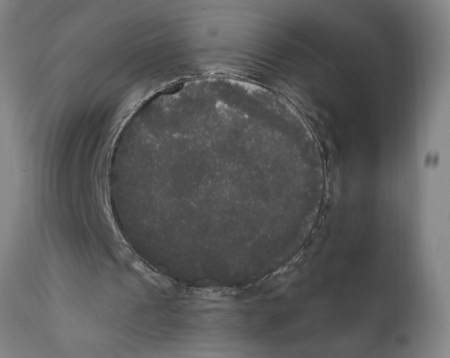 X0000111520241200908111209