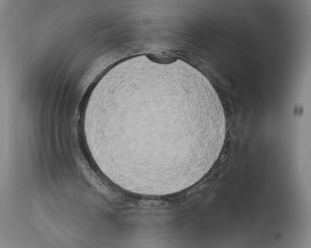 X0000111520242200908111209