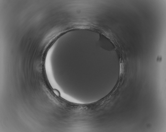 X0000111520243200908111209