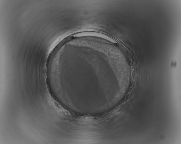 X0000111520244200908111209
