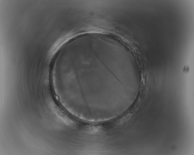 X0000111520247200908111209