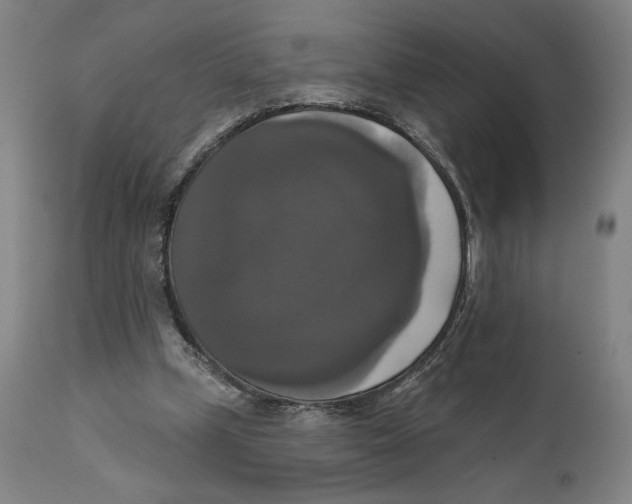 X0000111520249200908111209