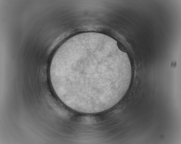 X0000111520250200908111209