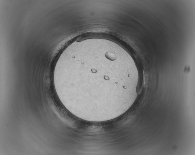 X0000111520252200908111209