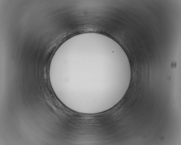 X0000111520254200908111209