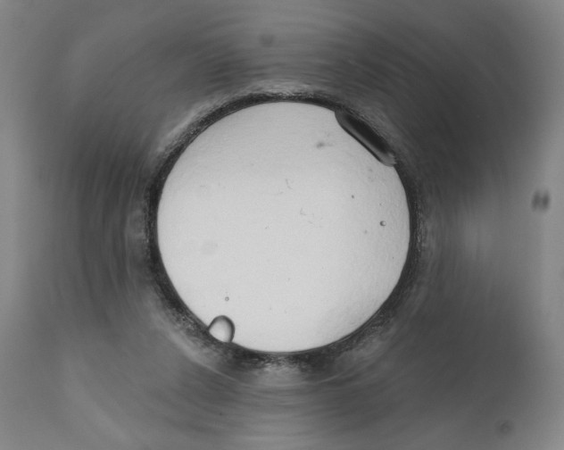 X0000111520256200908111209