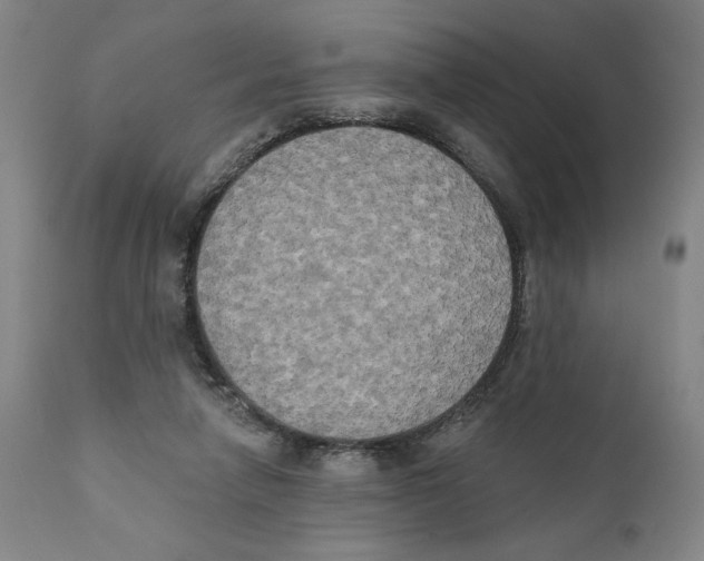 X0000111520258200908111209