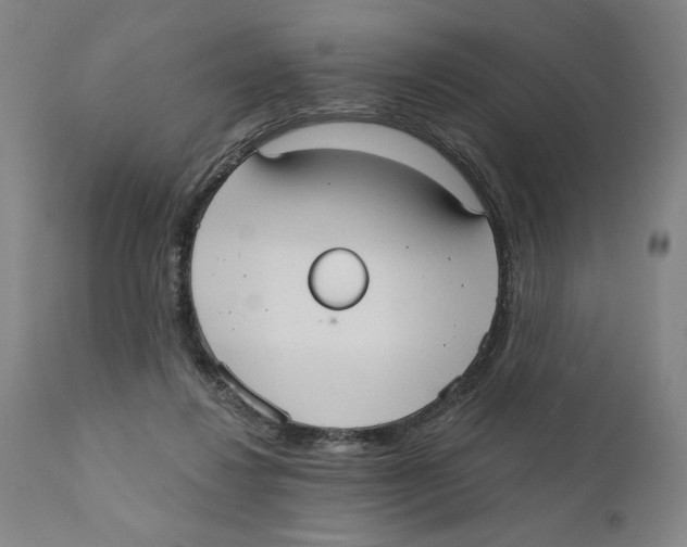 X0000111520260200908111209