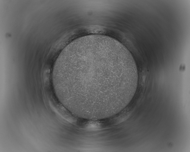 X0000111520263200908111209