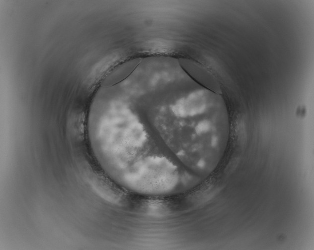 X0000111520264200908111209