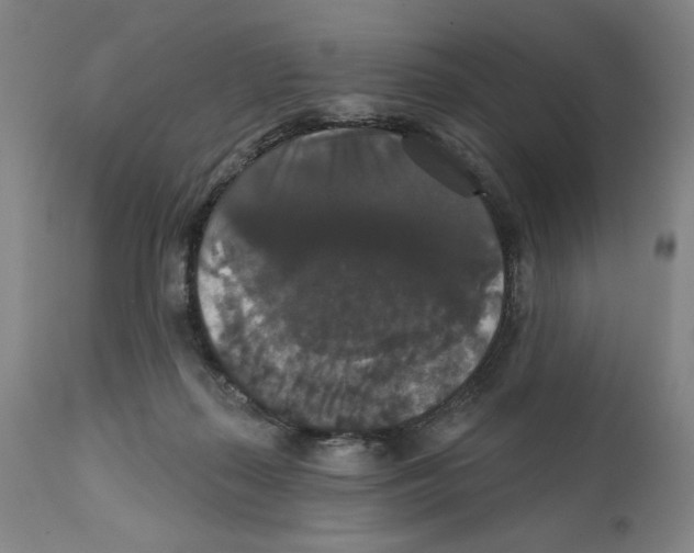 X0000111520267200908111209