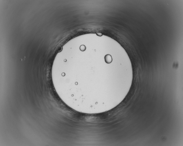 X0000111520268200908111209