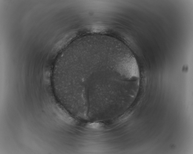 X0000111520269200908111209