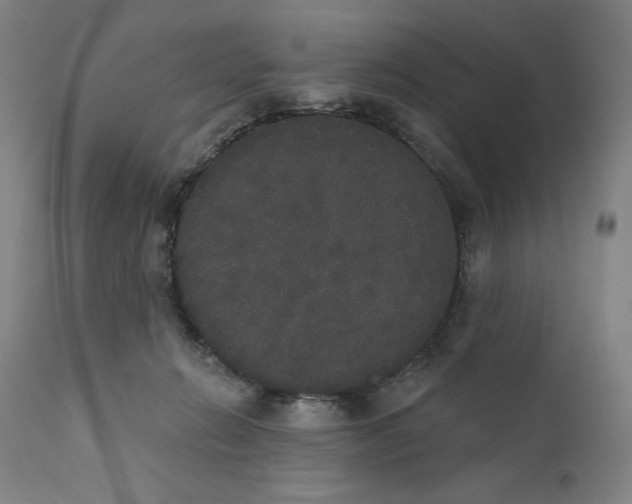 X0000111520270200908111209