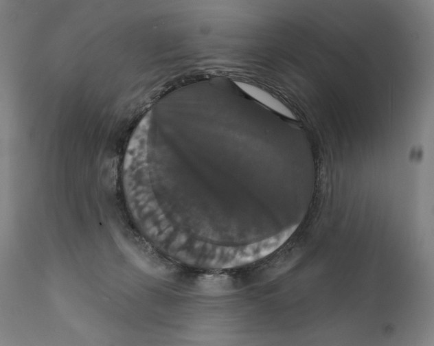 X0000111520271200908111209