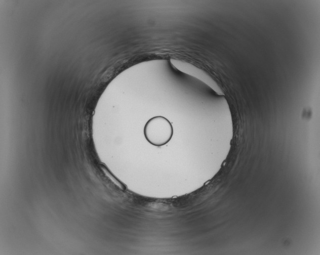 X0000111520272200908111209