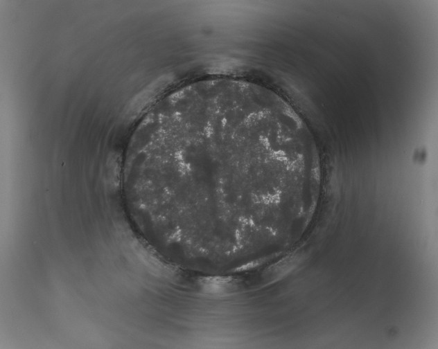 X0000111520273200908111209