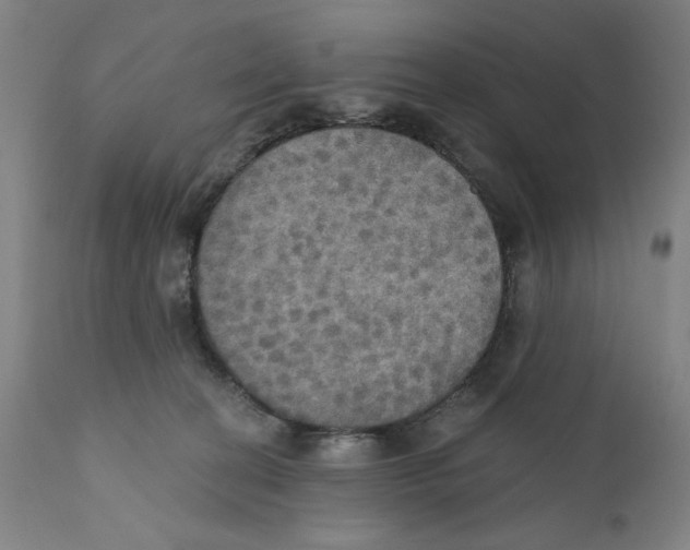 X0000111520274200908111209
