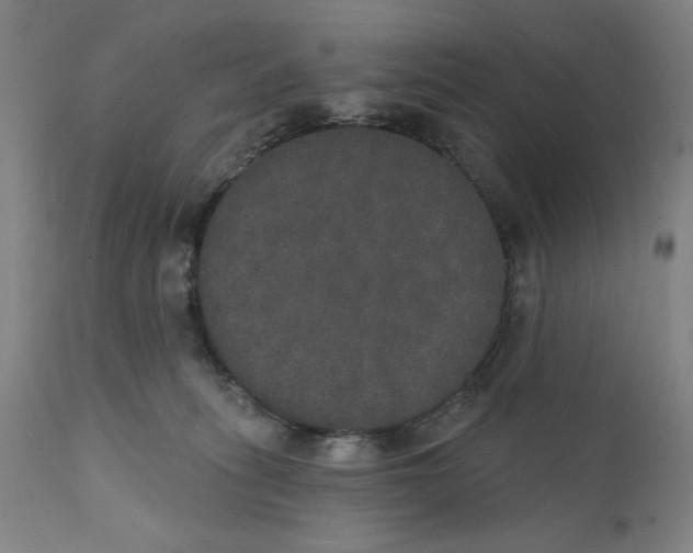 X0000111520275200908111210