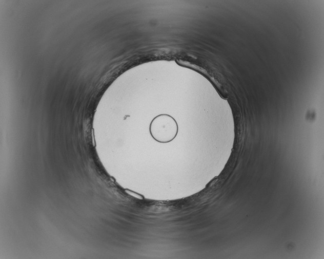 X0000111520276200908111210