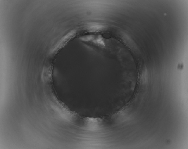 X0000111520277200908111210