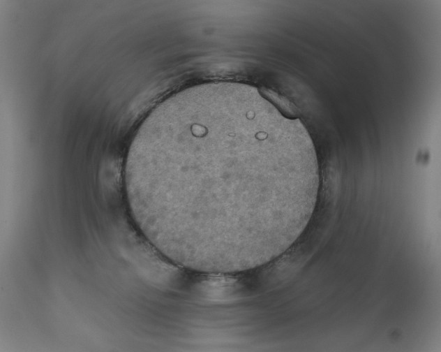 X0000111520278200908111210