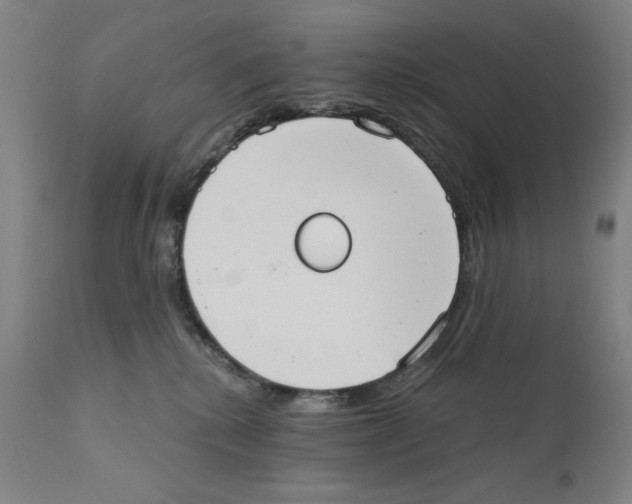 X0000111520280200908111210