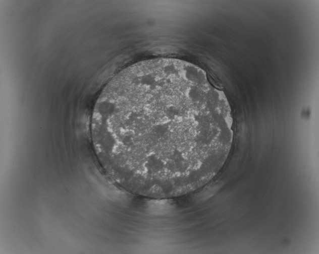 X0000111520281200908111210