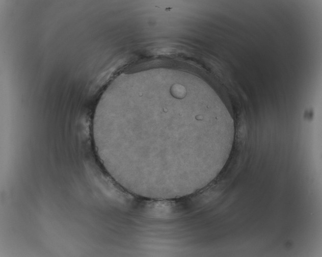 X0000111520282200908111210