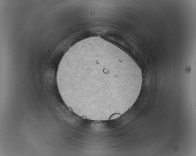 X0000111520283200908111210