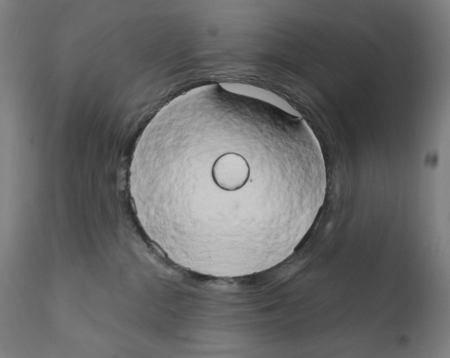 X0000111520284200908111210