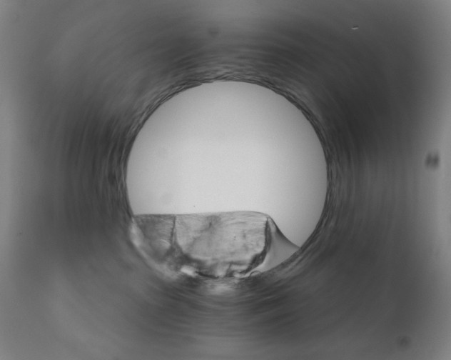X0000111520285200908111210