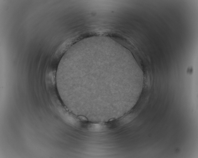 X0000111520286200908111210