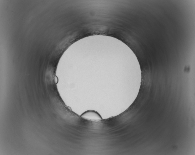 X0000111520287200908111210