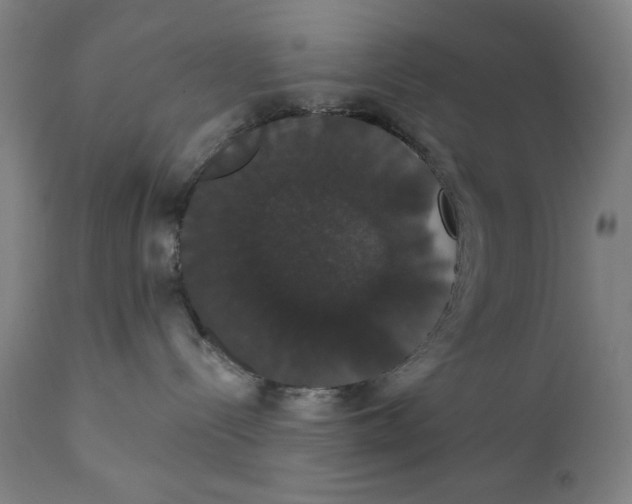 X0000111520288200908111210