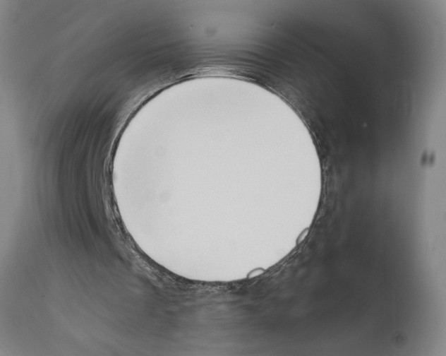 X0000111520289200908111209
