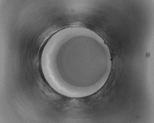 X0000111520290200908111209