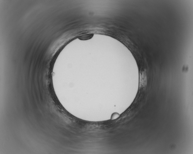 X0000111520291200908111209