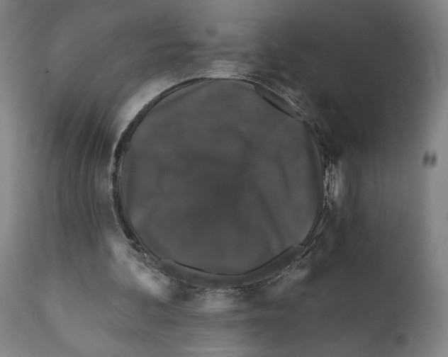 X0000111520292200908111209