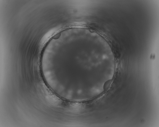 X0000111520293200908111209