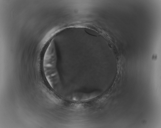 X0000111520295200908111209