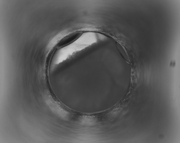 X0000111520296200908111209