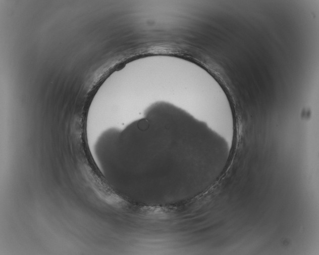 X0000111520297200908111209