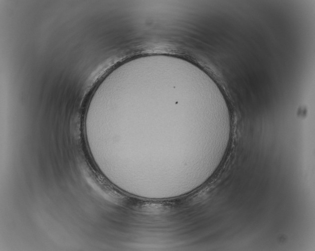 X0000111520298200908111209
